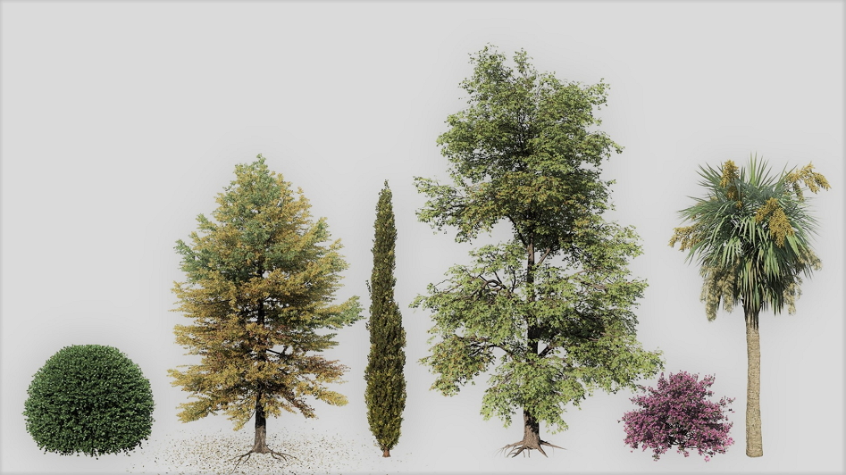 width=