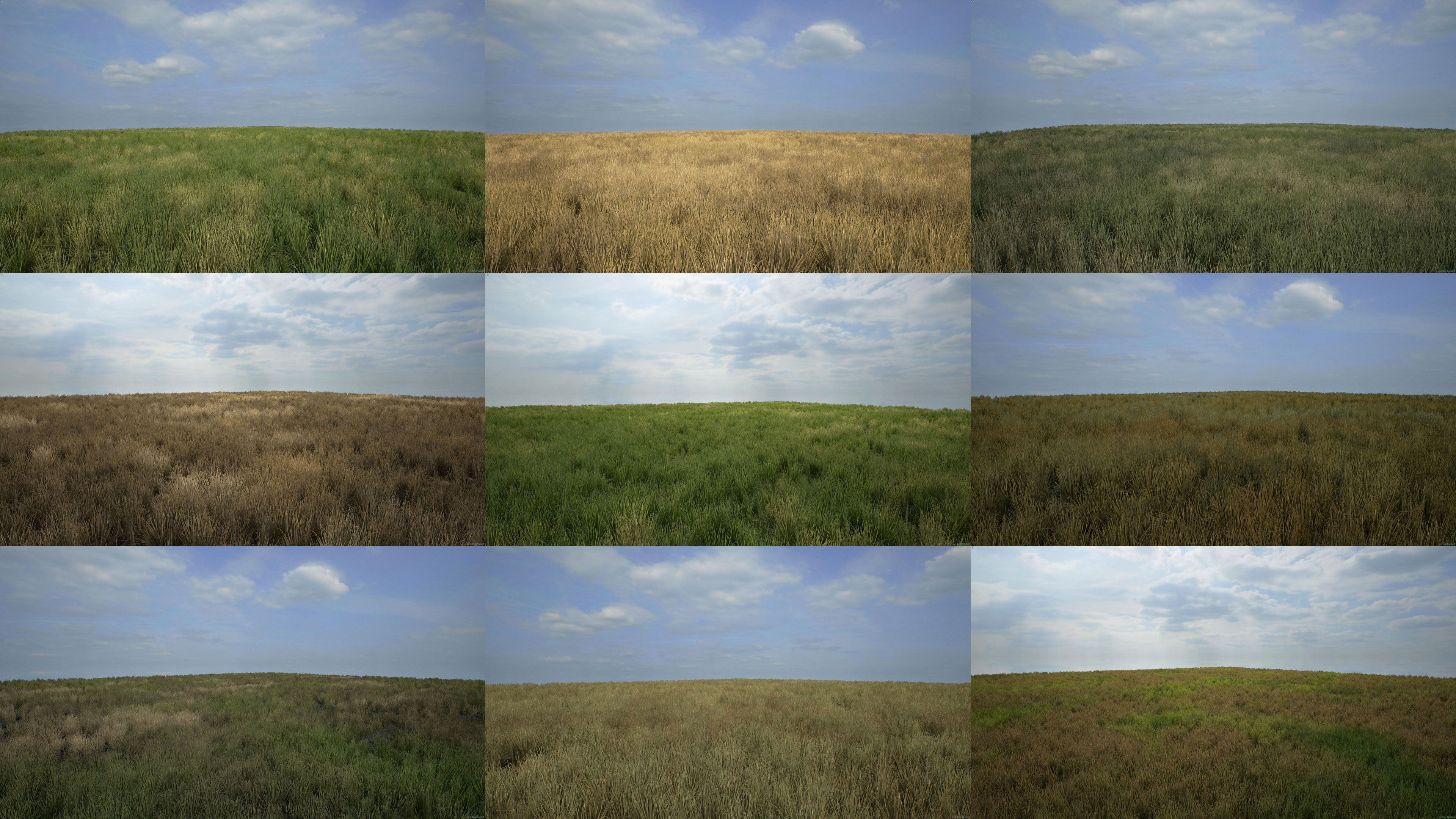 22-virtual-landscapes