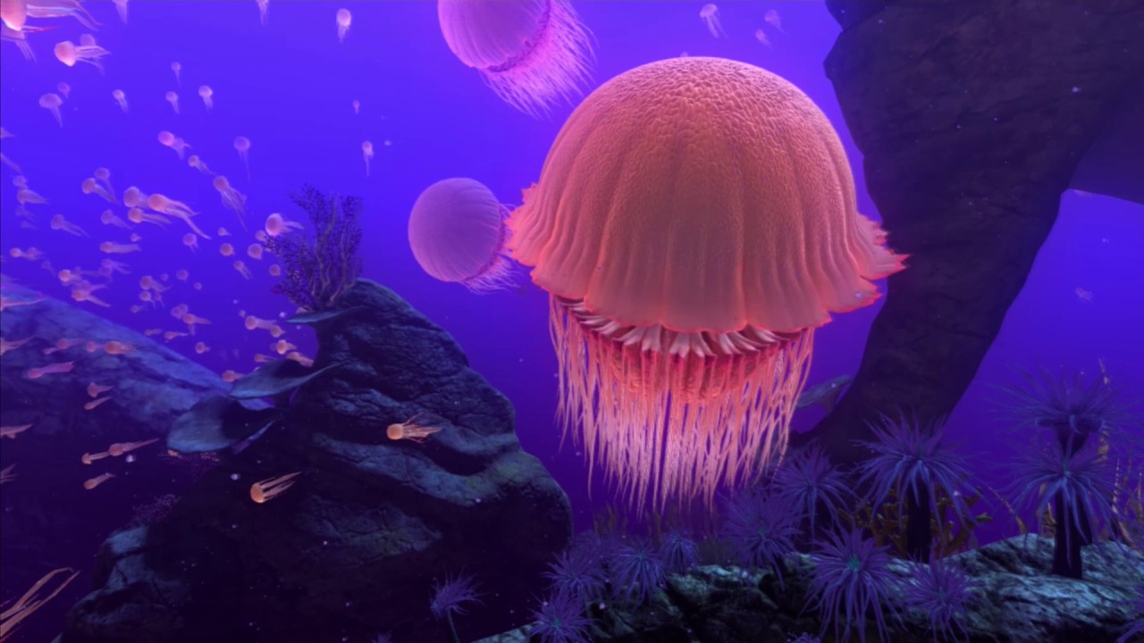 width=