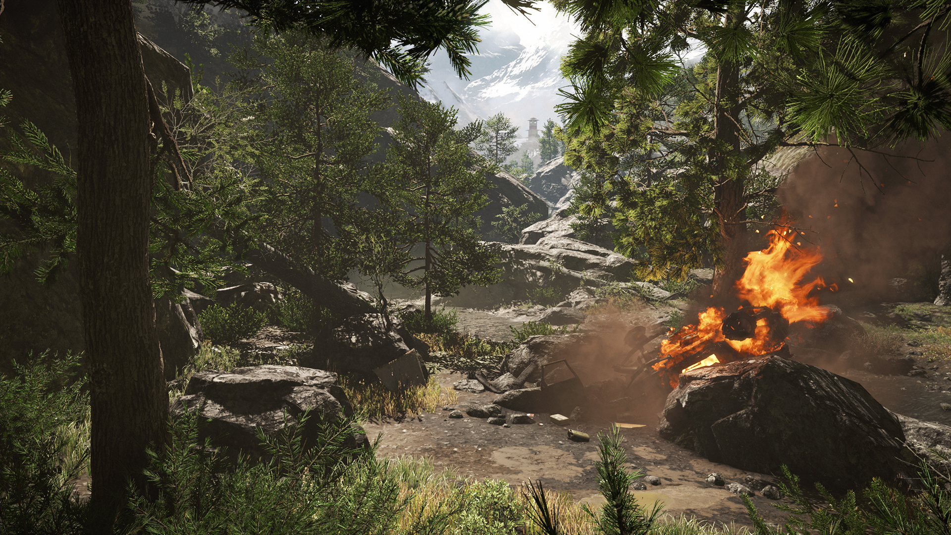 far-cry-4-pc-screenshot-005