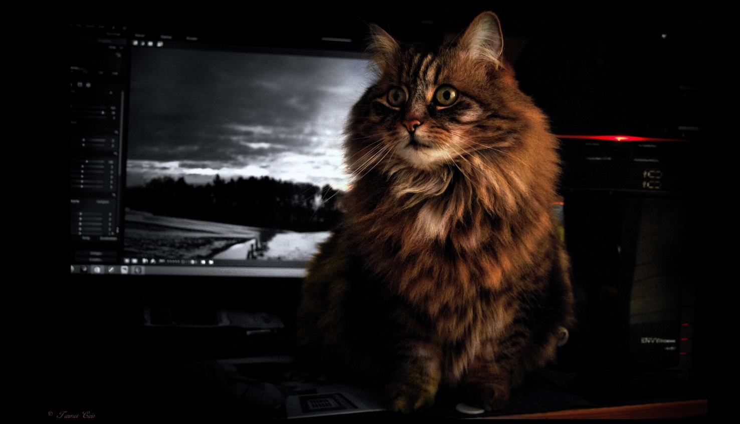 width=