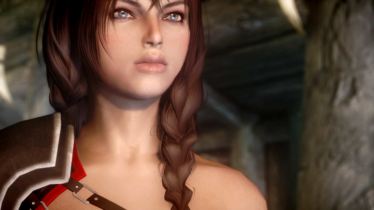 Портреты 100 модов для Skyrim width=