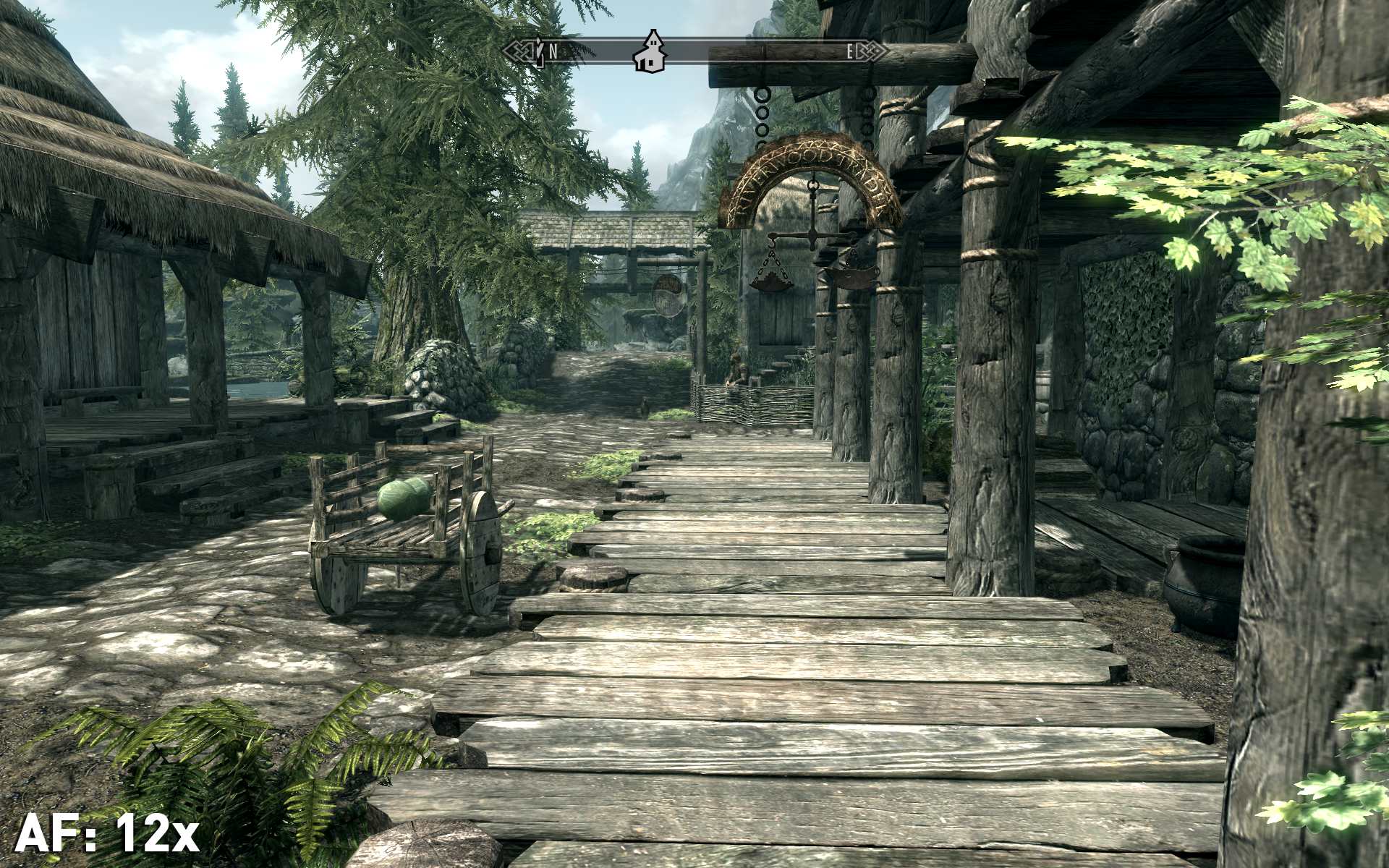 Skyrim-AF-12x width=