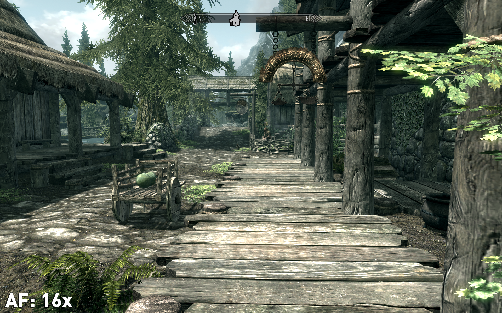 Skyrim-AF-16x width=
