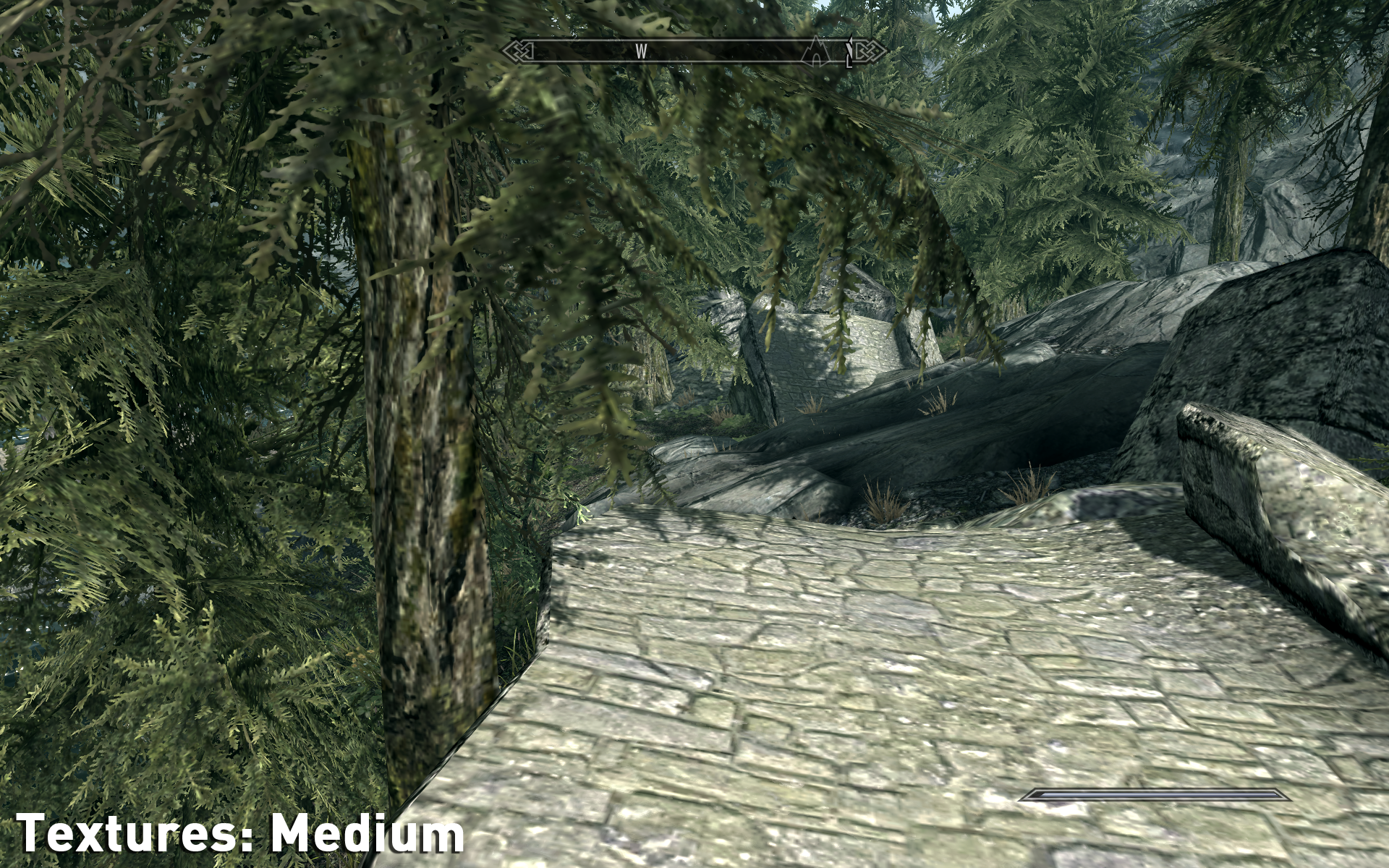 Skyrim-Textures-Medium width=