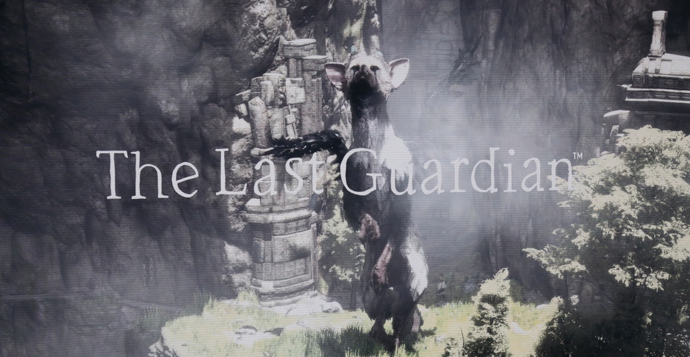 the last guadrian