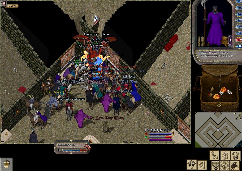 Ultima Online width=